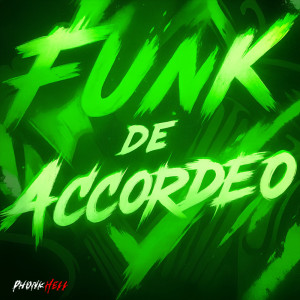 ดาวน์โหลดและฟังเพลง FUNK DE ACCORDEOS พร้อมเนื้อเพลงจาก Y1LIAS