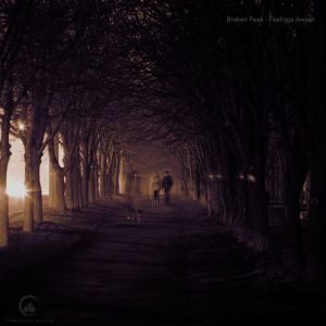 Listen to Feelings Awash song with lyrics from Broken Peak