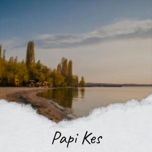 收听Tais Kego的Papi Kes歌词歌曲
