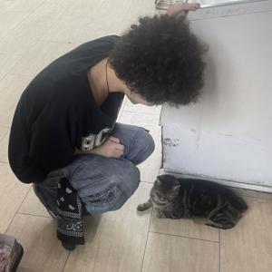 ดาวน์โหลดและฟังเพลง dandelion (Explicit) พร้อมเนื้อเพลงจาก goodbyesolace