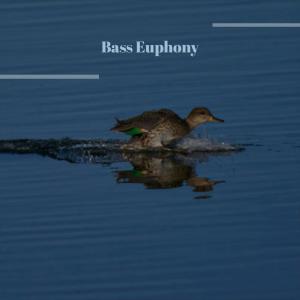 收听Deey Fakes的Beneath Recapitulate歌词歌曲
