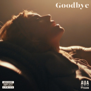 Listen to Goodbye (Video Edit) song with lyrics from Aua