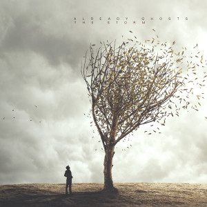 Album The Storm from 