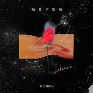 收听吴子健REmi的枯萎与绽放歌词歌曲