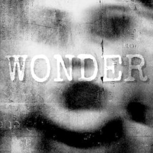 Happy Walters的專輯Wonder (feat. Ruelle) [Explicit]