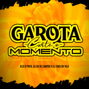 收聽Dj Gv de Campos的Garota Curte o Momento歌詞歌曲