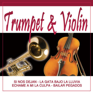 ดาวน์โหลดและฟังเพลง Echame A Mi La Culpa - Violin พร้อมเนื้อเพลงจาก Various