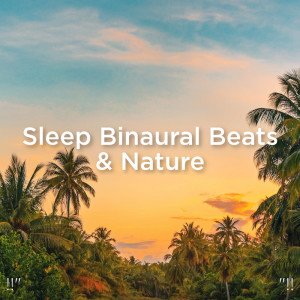 Dengarkan lagu Binaural Beats Healing nyanyian Sleep Sounds of Nature dengan lirik