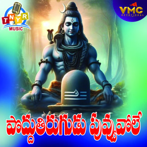 Listen to Podutirugudu Puvuvole song with lyrics from Kannam Srinivas