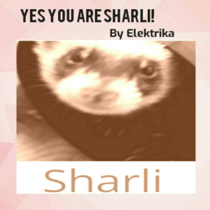 Elektrika的專輯Yes You Are Sharli!