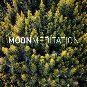 收聽Moon Tunes的Deep Sea歌詞歌曲