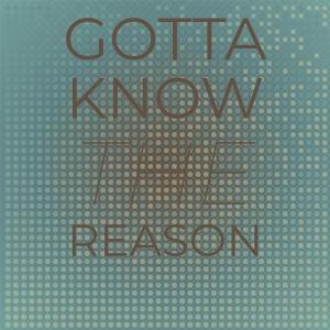 Dengarkan Gotta Know the Reason lagu dari Vern Brandon dengan lirik