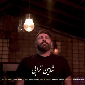 Listen to Faghat Mikham song with lyrics from Shahin Torabi