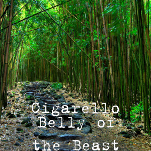 Album Belly of the Beast (Explicit) from Jking Kong