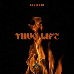 Listen to Thug Life song with lyrics from Beneboom