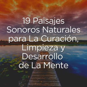 Album 19 Paisajes Sonoros Naturales para La Curación, Limpieza y Desarrollo de La Mente oleh Oasis de Détente et Relaxation