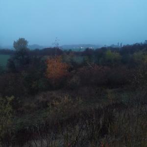 ดาวน์โหลดและฟังเพลง for times I'm not พร้อมเนื้อเพลงจาก Sydll