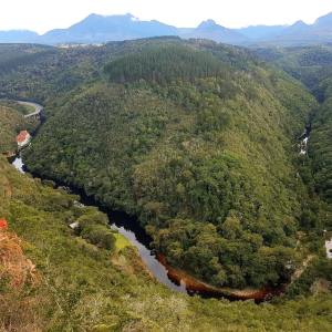 Dengarkan Peace of the Forest lagu dari Relaxing Music dengan lirik