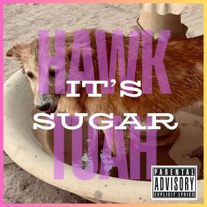 Hawk Tuah的专辑It's Sugar