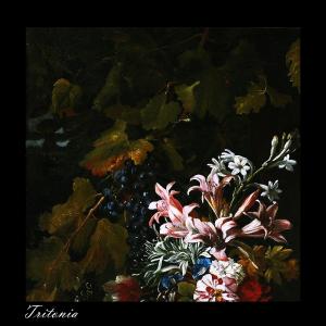 Album Tritonia (Explicit) from 