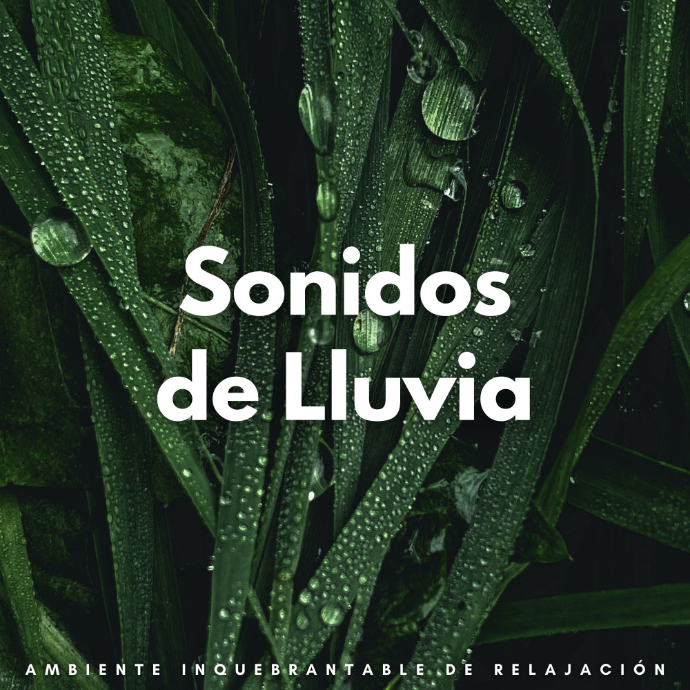 Precipitación Persistente Para La Relajación