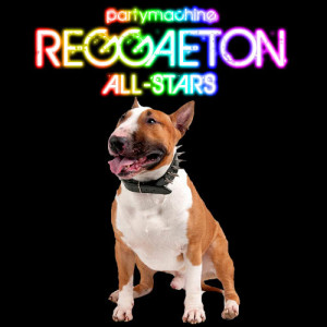 อัลบัม Reggaeton All Stars Featuring Pitbull, Don Omar, Wisin & Yandel, Daddy Yankee and More! ศิลปิน Party Machine