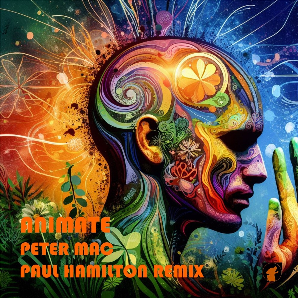 Animate (Paul Hamilton Remix)