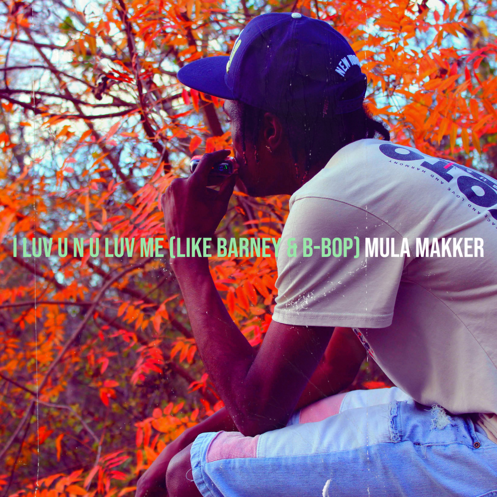 I Luv U n U Luv Me (Like Barney & B-Bop) (Explicit)