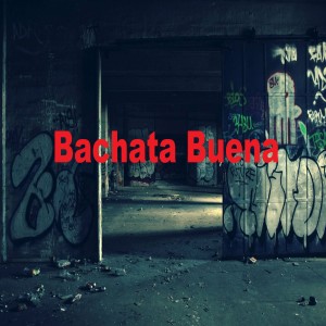 Listen to Nueva York song with lyrics from El Varon de la bachata