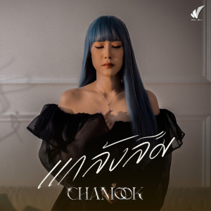 อัลบัม แกล้งลืม - Single ศิลปิน CHAMOOK