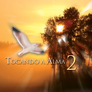 Various Artists的專輯Tocando a Alma, Vol. 2