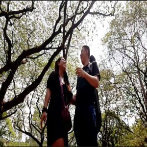Listen to Kayamanan song with lyrics from Mico Salazar