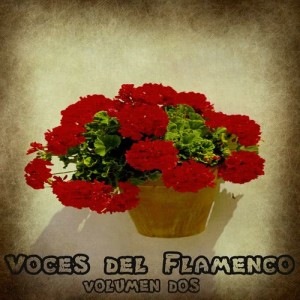 收聽Fernando de la Morena的Papas Aliñás歌詞歌曲