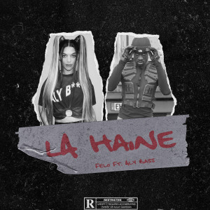 Album La haine (Explicit) from Aly Bass