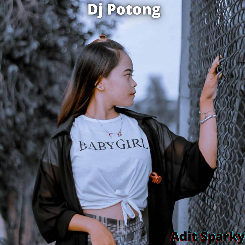 Dj Potong