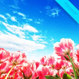 Dengarkan lagu Quiet Time nyanyian Blue Autumn dengan lirik