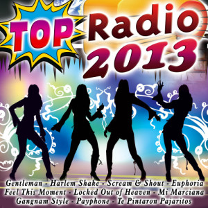 Various Artists的專輯Top Radio 2013