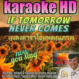 Album If Tomorrow Never Comes (2022 remastered & remixed - Karaoke Version) from DJ Ceesy