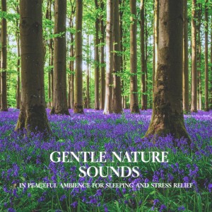 Gentle Nature Sounds in Peaceful Ambience for Sleeping and Stress Relief dari Nature Sounds For Focus