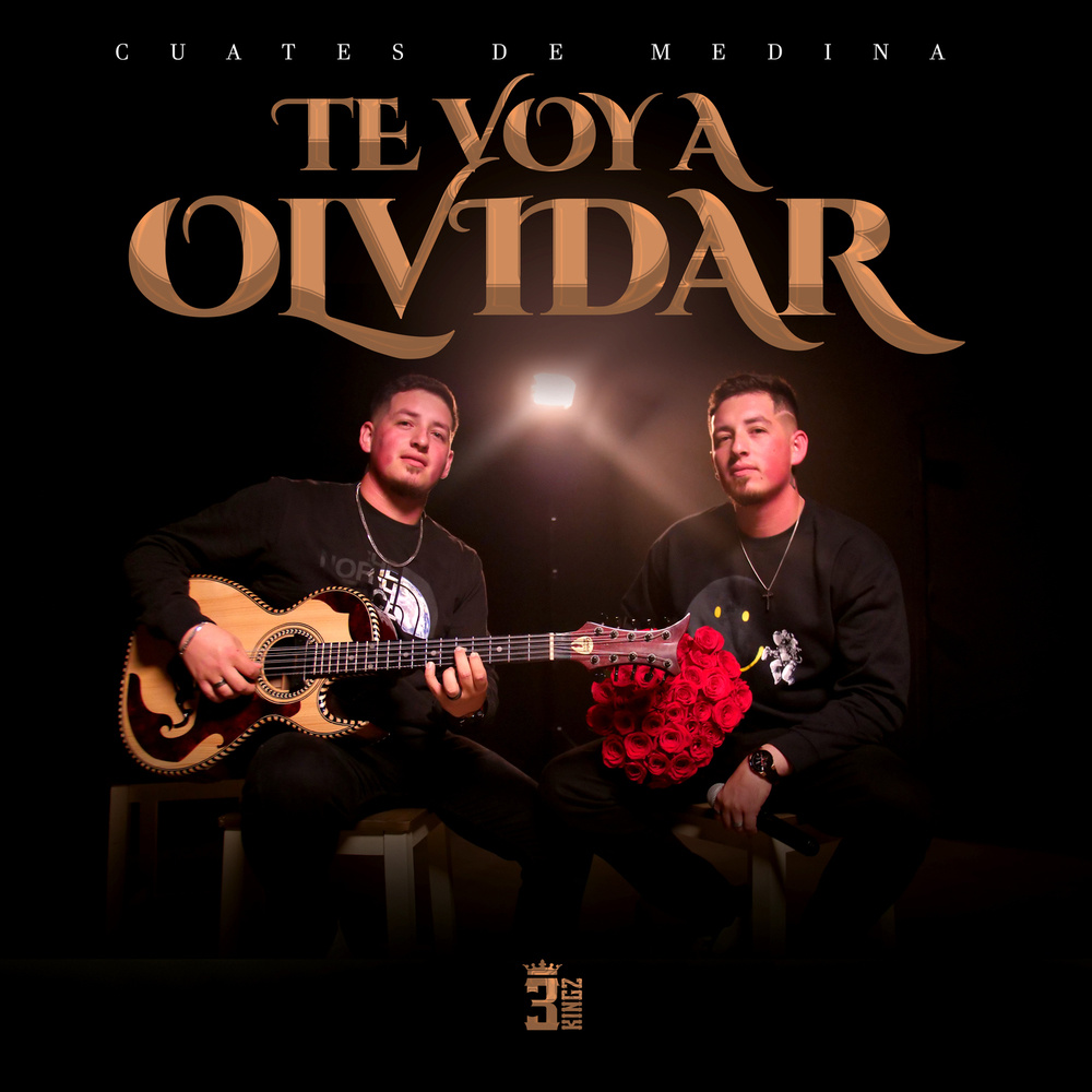 TE VOY A OLVIDAR