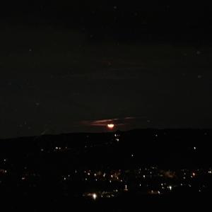 ดาวน์โหลดและฟังเพลง SWINGMYWRIST (Explicit) พร้อมเนื้อเพลงจาก The Virus and Antidote