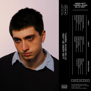 Album Cariño, Acaso No Lo Ves? from Andry Bett