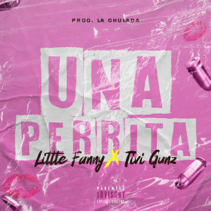 ดาวน์โหลดและฟังเพลง Una Perrita พร้อมเนื้อเพลงจาก Tivi Gunz