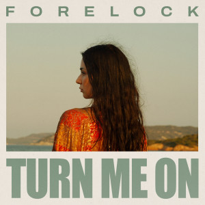 Listen to Turn Me On song with lyrics from Forelock