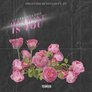 G fonzo的專輯Stark Melody (All I want is you) (feat. Za)