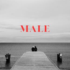 Album Male (feat. Cul7o) oleh Frenk