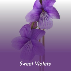 Listen to Calla song with lyrics from Mildred Bailey