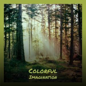 Album Colorful Imagination from Various