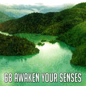 收聽Meditation Spa的Find Your Soul歌詞歌曲