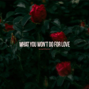 Listen to What You Won't Do for Love song with lyrics from ISREHL
